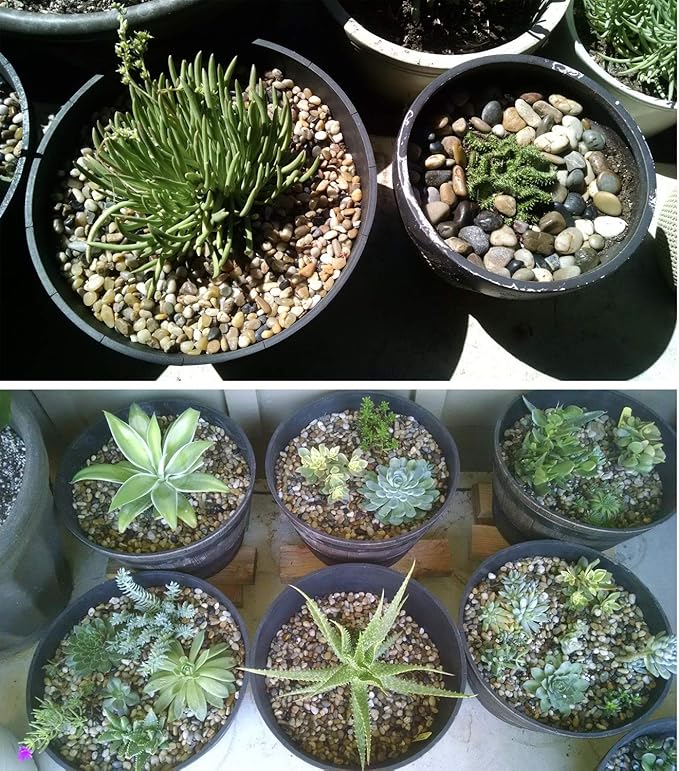 Voulosimi 40 LBS River Rock Stones, Natural Decorative Polished Mixed Pebbles Gravel,Outdoor Decorative Stones for Plant Aquariums, Landscaping, Vase Fillers