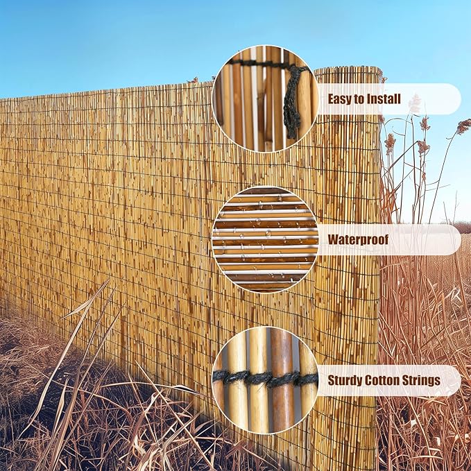Natural Reed Fencing, Eco-Friendly Reed Fence, 3.3 feet High x 16.44 feet Long, Reed Screen for Backyard Patio Garden and More,Brown