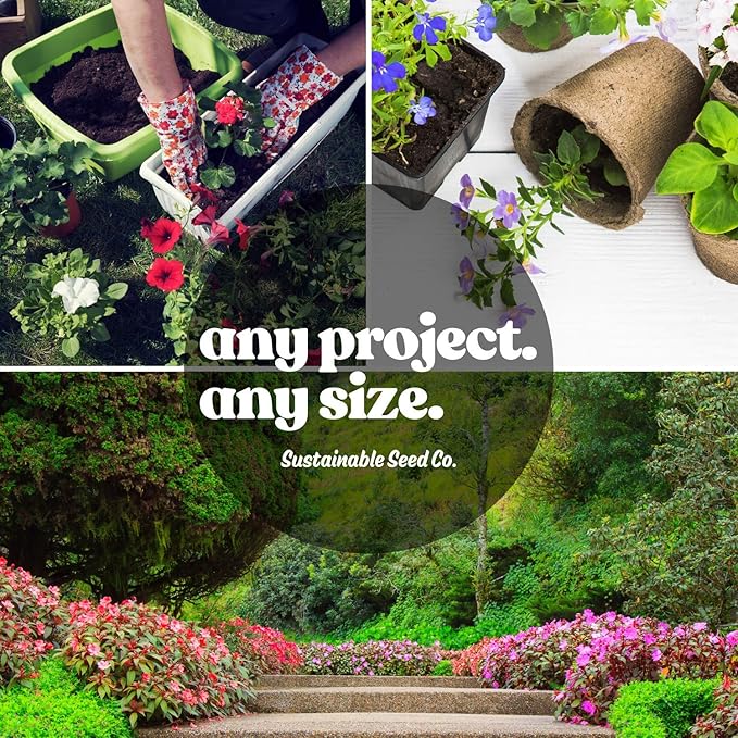 Pollinator Wildflower Seeds Bulk – 5 lb, 3.2 Million+ Seeds – 23 Variety Mix for Hummingbirds & Butterflies – Non-GMO Annual & Perennial Flower Seed for Planting