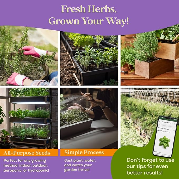 25 Culinary Classic Herb Seeds Variety Pack - 13,055+ Non-GMO Heirloom Herbs Seeds for Planting Indoor & Outdoor: Lavender, Rosemary, Dill, Mint, Catnip, Basil - Gardening Seeds Packets