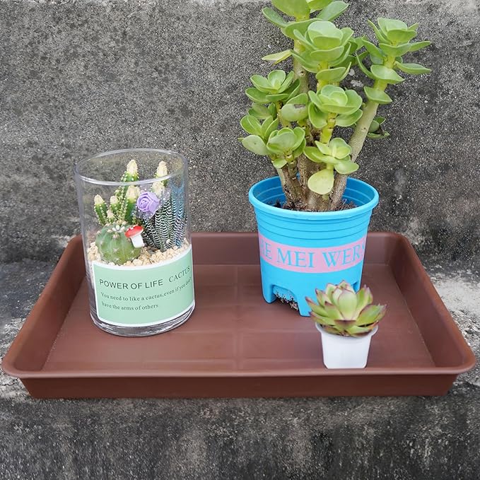 Plant Saucer Growing Tray, Seed Starter Tray Rectangular, Heavy Sturdy Plastic Plant Saucers Drainage Trays, Plant Drip Trays for Pots, Seed Starter Growing Tray (11 x 9 inch, 1 Pack)