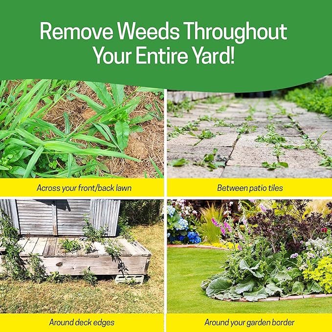 Spear Head Hoe Garden Tool - Long Handle Hoe with 59" Fiberglass Handle, 2 Cushioned Grips, & Stainless Steel Blade with Sharpened Edges & Rake - Multipurpose Garden Hoe for Weeding & More (Yellow)