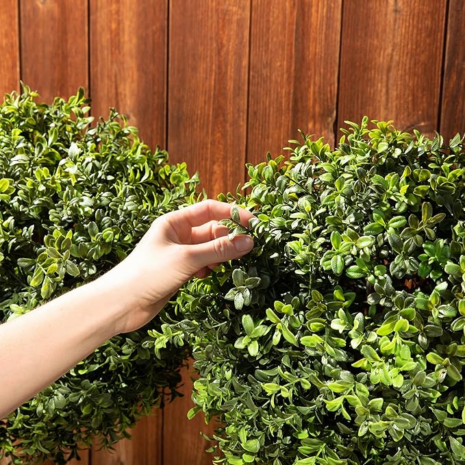 Premium 14" Diameter Artificial Boxwood Topiary – Set of 2 Faux Plants in Black Decorative Planters – UV-Resistant, Weatherproof, Realistic Outdoor & Indoor Greenery Accent