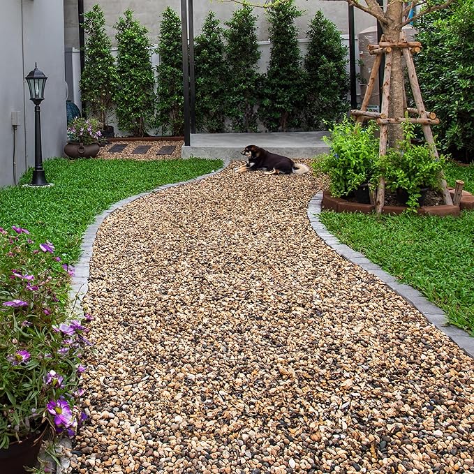 5 lbs Aquarium Gravel, 2-4mm Fish Tank Gravel, Succulent Cactus Pea Gravel for Indoor Plants, River Rocks for Gardening, Flower Pots, Vase Fillers, Garden Landscaping