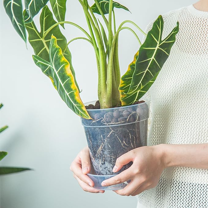 1 Gallon 6 Inch Clear Plastic Plant Pot with Drainage Holes, Interlocking & Detachable Tray - Deep Saucer - Durable BPA-Free Plastic, Transparent Design, Raised Base for Airflow, Set of 12, 92-X-B-6