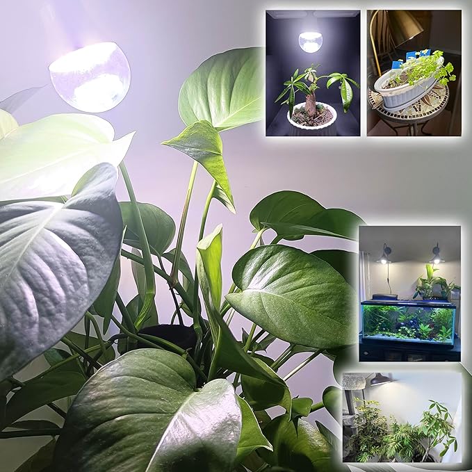 E12 Candelabra Grow Light Bulbs for Indoor Plants Full Spectrum,Small Base Grow LED Lamp Bulb 10W with Balanced Spectrum 5000K Red Blue for Seeds Greens Laboratory,School,Greenhouse, Hydroponic,3Pack