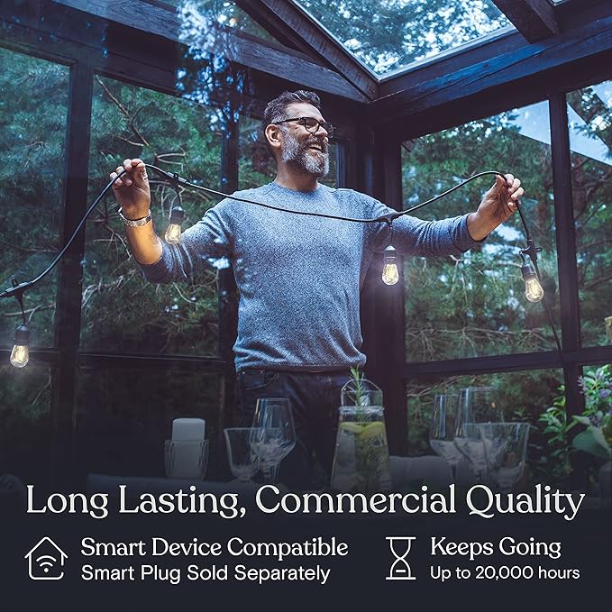 Brightech Ambience Pro - Waterproof LED Outdoor String Lights - 7 Hanging, Dimmable 2W Vintage Edison Bulbs - 24 Ft Commercial Grade Patio Lights Create Cafe Ambience in Your Backyard