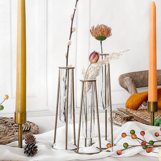 Propagation Station Terrariums with Gold Metal Stand - Kate Aspen 3 Glass Test Tube Planters for Indoor Plant, Air Plants, Plant Clippings, Cut Flowers, Herbs, Succulents | Home Decor Table Decoration