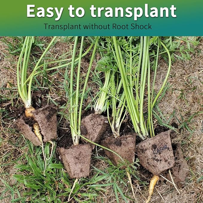 TCBWFY Biodegradable Seedling Trays, 20 Pack, 320 Cells, Ideal for Indoor and Outdoor Planting, Mint, Lavender, Rose