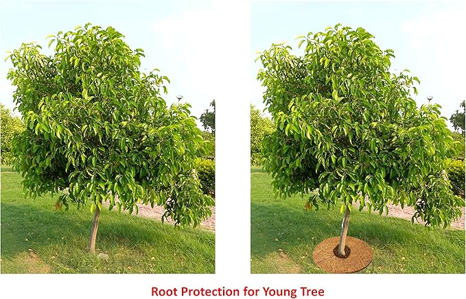 Deepthi 18-Inch Coco Coir Mulch Mats – Pack of 3 Natural Coconut Fiber Discs – Tree Ring Guards, Pot Covers, Sapling Root Protection, Weed Barrier, Moisture Retention for Garden & Potted Plants