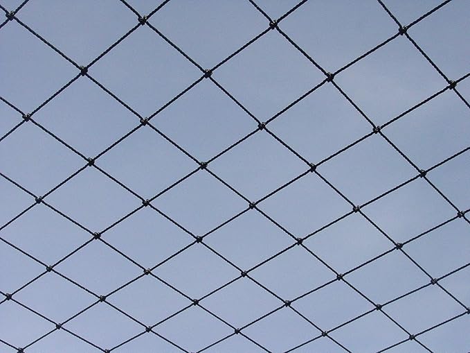 Excursions Aviary Netting 1" Heavy Knotted Poultry Net (25' x 150')
