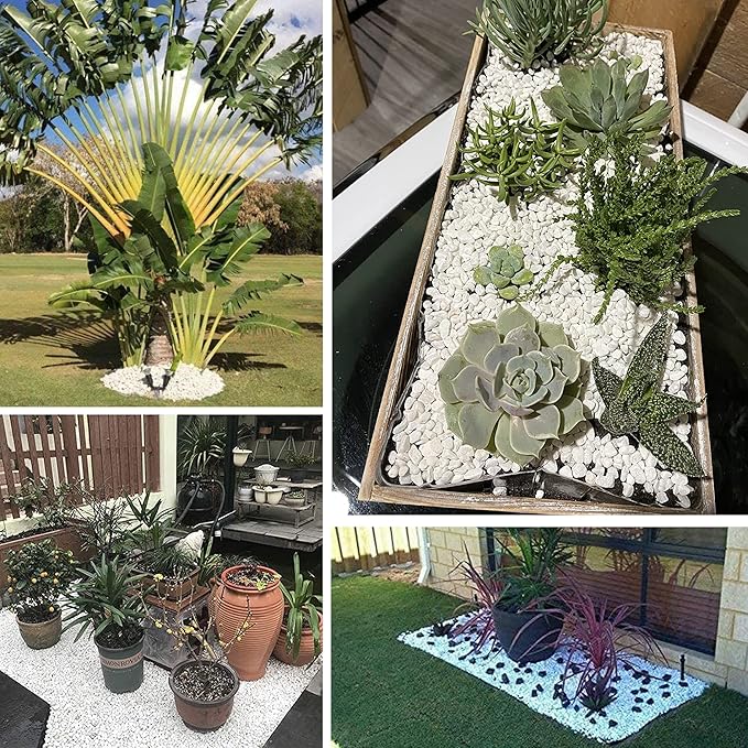 45lb White Rocks for Plants,Potting,Succulents Aquarium Fish Tank Garden Vases Decorative Pebbles Gravel Rocks Stones