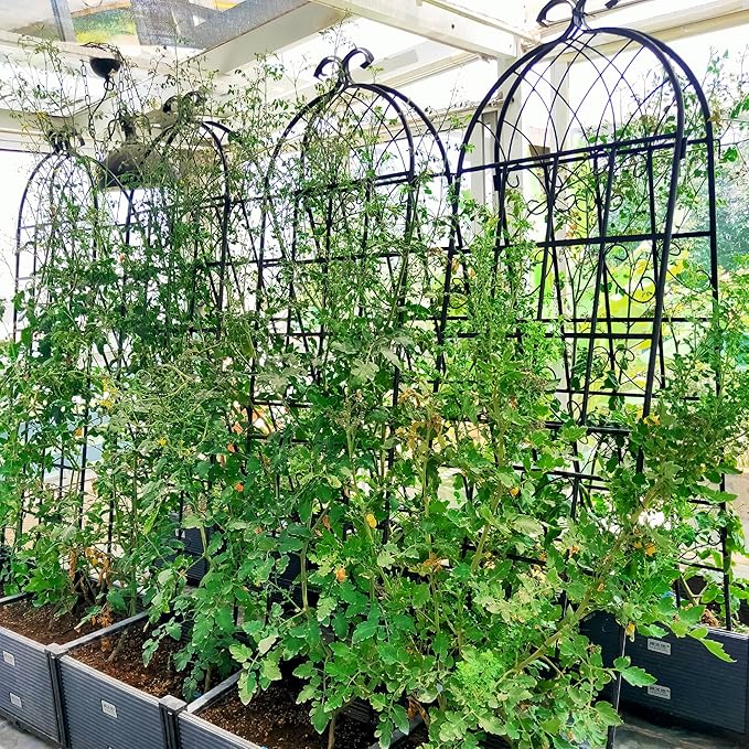 2 Pack Metal Garden Trellis for Climbing Plants 71" x 19.7" Outdoor Fence Rustproof Garden Trellis Support Roses Flower Lawn, Black 6FT
