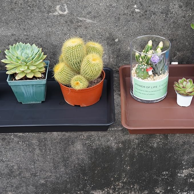Plant Saucer Growing Tray, Seed Starter Tray Rectangular, Heavy Sturdy Plastic Plant Drainage Saucers, Plant Drip Trays for Pots, Seed Starter Growing Trays (11 x 9 inch, 1 Pack)