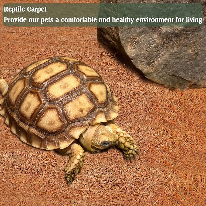 ZeeDix 2 Pack 16 x 80 x 0.28inches Thickened No-Slip Ice and Snow Carpet Mats- Natural Coconut Fiber Carpet for Garden, Front Door, Stairs, Porch Outdoor Safer Walking