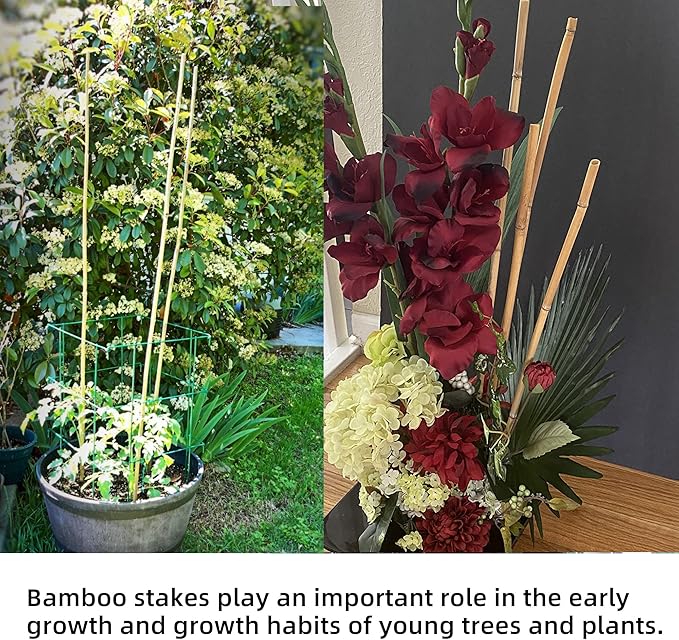 0.32”-0.4"/18Inch Garden Stakes, Natural Bamboo Sticks Plant Stakes for Indoor and Outdoor Plants，Poles for Tomatoes, Beans, Potted Plants(50Pcs)…
