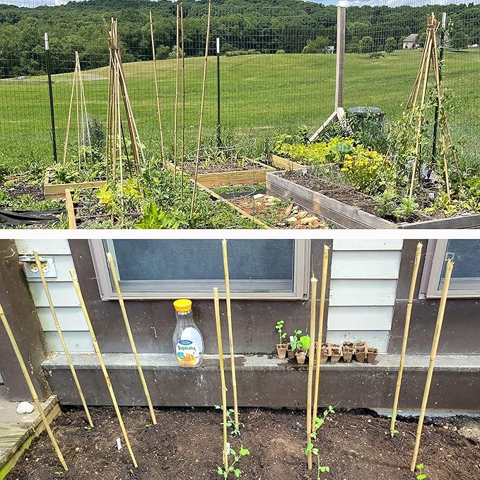 0.32”-0.4"/ 4 Feet Garden Stakes, Natural Bamboo Sticks Plant Stakes for Indoor and Outdoor Plants，Poles for Tomatoes, Beans, Potted Plants(50Pcs)