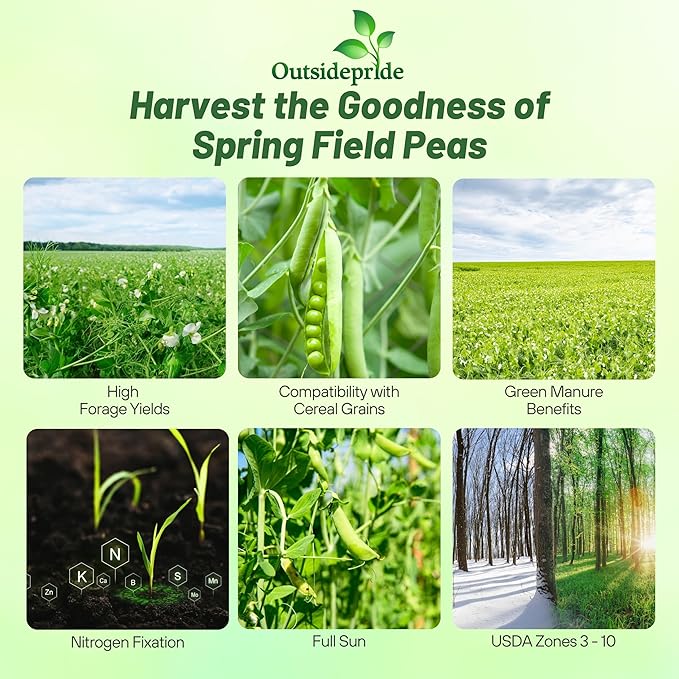 Outsidepride Dundale Spring Field Peas Seeds - 50 lbs. Annual, High-Protein Legume & Cover Crop Seeds for Forage, Food Plot, Gardens & Pastures - Ideal for Improving Soil Health, & Erosion Control