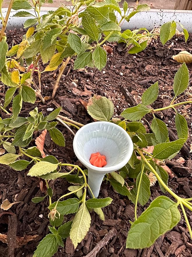 3 Pack, Bee Watering Station, Butterfly Feeder, Bee Feeder, Garden Decor, Bee Decor, Outdoor Garden Decor, Plastic Free, Handmade from Porcelain (3, Morning Glory)