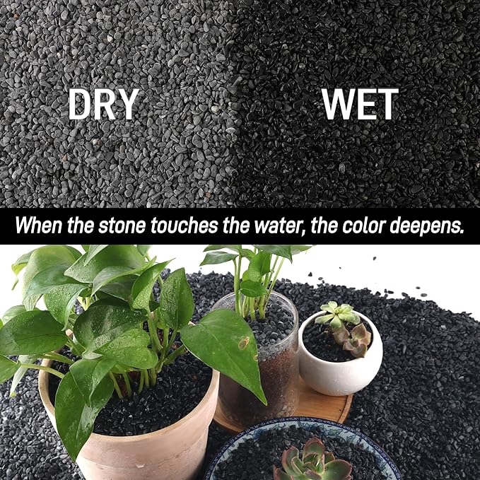 45lb Black Cactus Pea Gravel Rocks,1/4 Inch Pebbles for Indoor Plants, Natural Succulent Rock and River Rocks Decorative for Aquariums, Vases, Outdoor Gardening, Top Dressing for Potted Plants