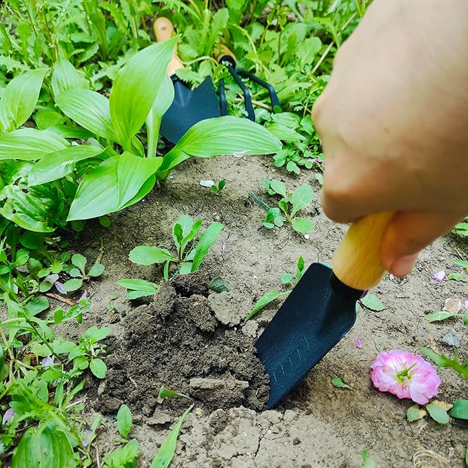 Gardening Tool, 3Pcs Heavy Duty Gardening Kit Including Trowel Transplanter Cultivator Gardening Hand Tools (3pcs Garden Tool)