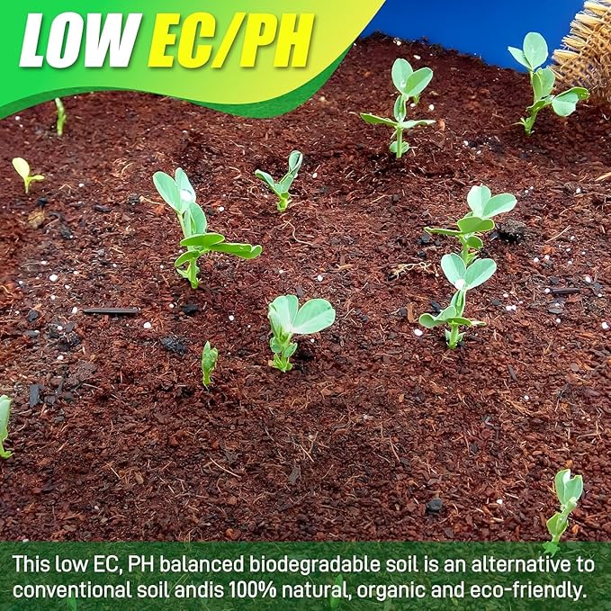 Coco Coir Brick for Plants-12 Pack Premium Coconut Bricks, 100% Organic Peat Moss, Fiber Coconut Husk for Planting, Gardening, Potting Soil Substrate