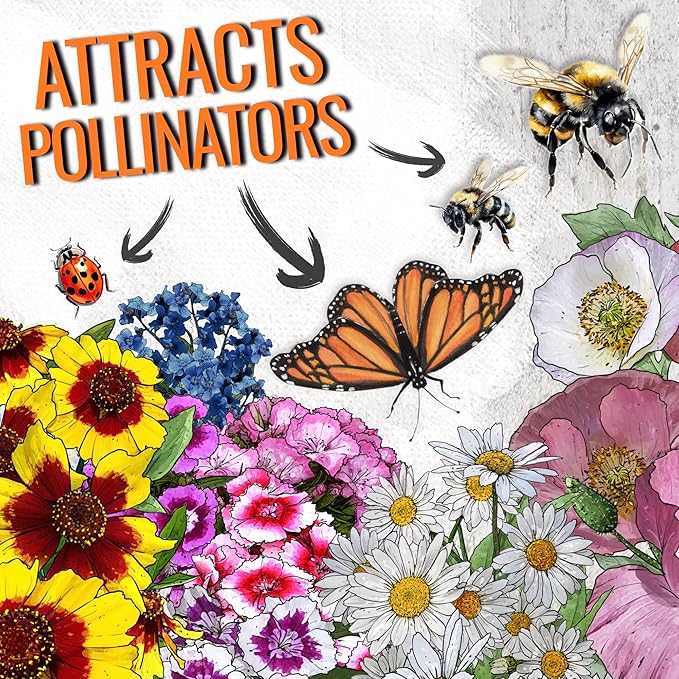 Seed Needs Partial Shade Wildflower Seed Mix for Planting | 2 Packs (1 Ounce Each) 14+ Varieties Open Pollinated Annual & Perennial Species | Flower Seeds Shade Tolerant | Bulk