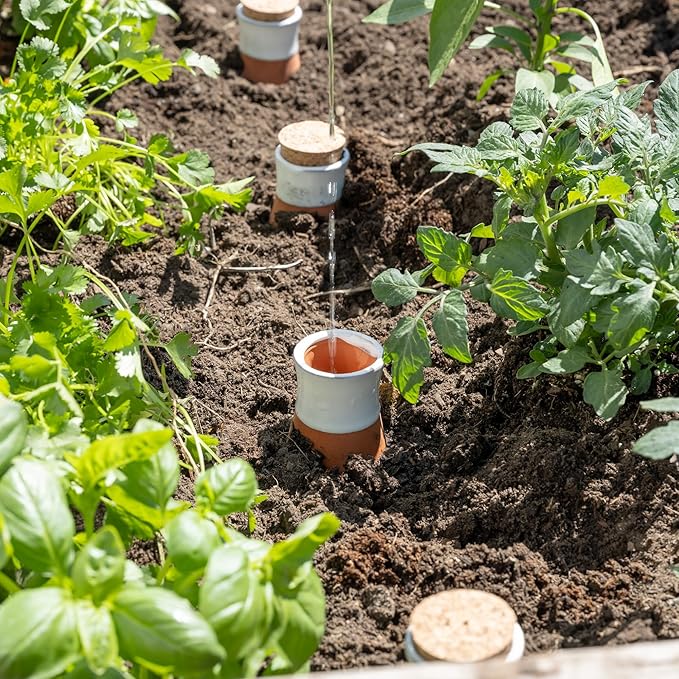 Plant Self Watering Globes - Terracotta Watering Spikes - Slow Release Olla Watering Pots - Drip Irrigiation Olla System