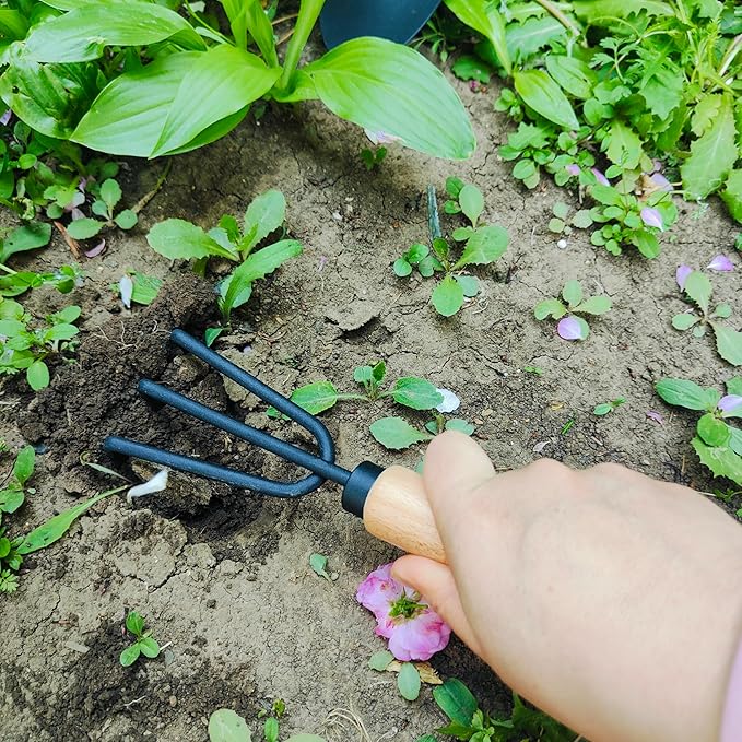 Gardening Tool, 3Pcs Heavy Duty Gardening Kit Including Trowel Transplanter Cultivator Gardening Hand Tools (3pcs Garden Tool)