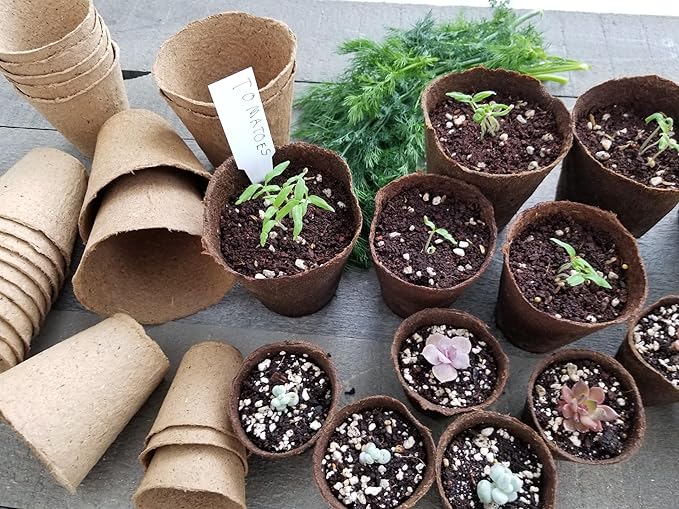 Daniel's Plants 4" Naked Pots | Large Natural Plantable Seed Starter Pots | OMRI-Listed Biodegradable Pots for Seedlings | Enhanced Aeration | Earth Friendly - Peat Free | 30 Pack 4 Inch Round