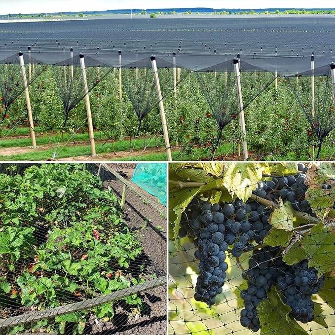 CandyHome Bird Netting for Garden, 13Ft x 33Ft Reusable Garden Netting Plants Barrier, Plant Mesh Net Protect Fruit Tree Seedlings Plants from Birds, Cicadas, Rodents, Black