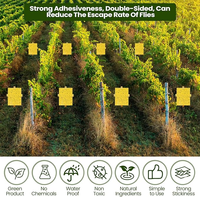 Qualirey 20 Pcs 6 x 8 Inch Sticky Traps for Plant Double Sided Sticky Trap for Gnats with Twist Ties Fly Traps for Fruit Insect Fungus Bugs Indoor Outdoor (Yellow)