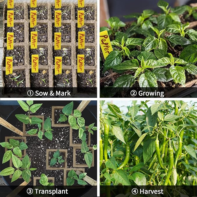 TCBWFY Biodegradable Seedling Trays, 20 Pack, 320 Cells, Ideal for Indoor and Outdoor Planting, Mint, Lavender, Rose