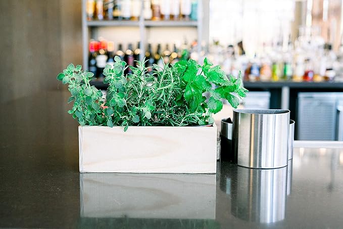 Wooden Planter Box, Rose Wood, Plastic Liner l Garden Decor l Restaurant and Wedding Decorations l Wedding Bouquets, Table Centerpiece, 12 x 4 Inches, (Rectangular) (12x4 Set of 4, Rose Wood)