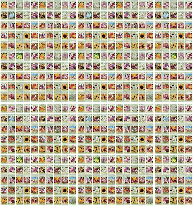 Black Duck Set of 500 Flower Seed Packets! Flower Seeds in Bulk - Best Value Seeds - Great for Classrooms, Beginner Gardeners and Kids! - Deluxe Varieties! (500)